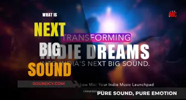 Unveiling the Future of Music: What is Next Big Sound?