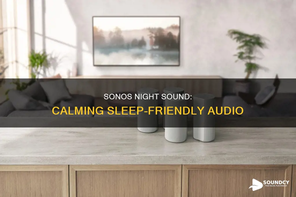 what is night sound on sonos