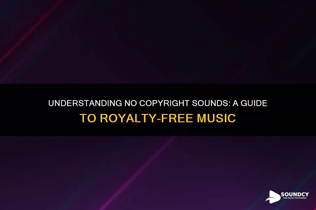 what is no copyright sounds