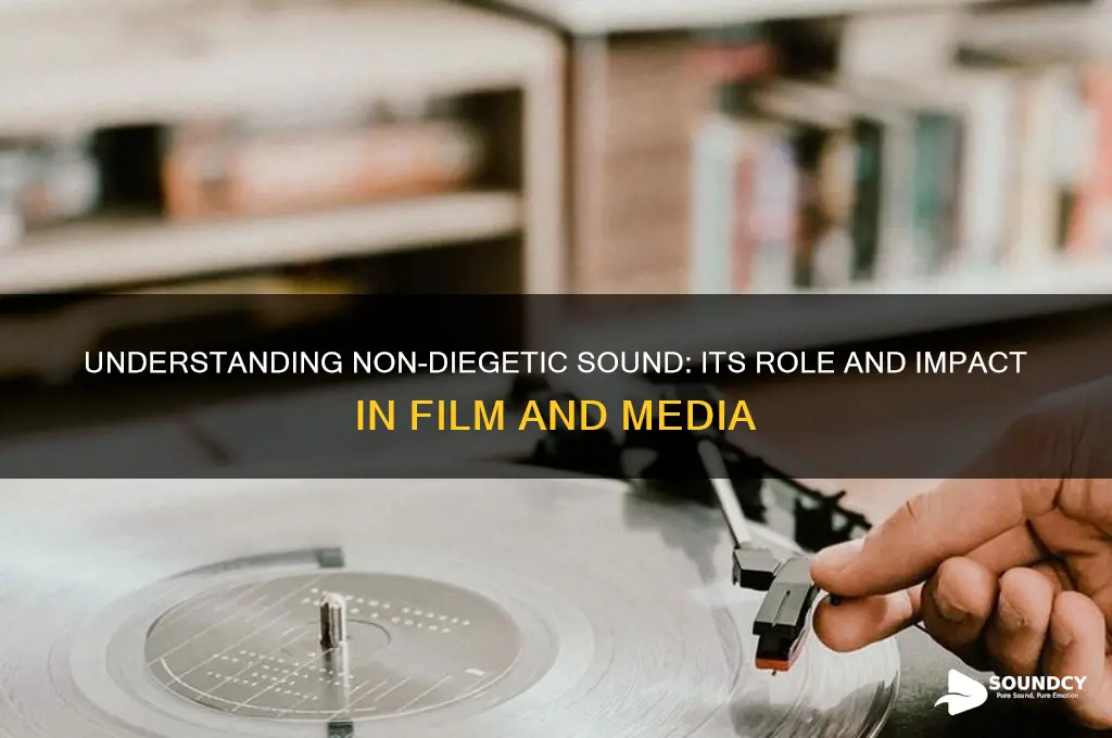 what is non diagetic sound