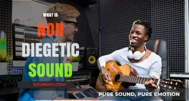 Understanding Non-Diegetic Sound: Enhancing Film and Media Storytelling Techniques