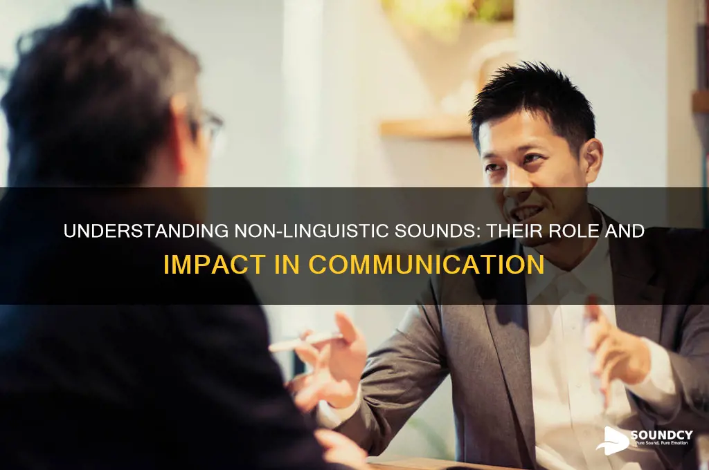 what is non linguistic sound