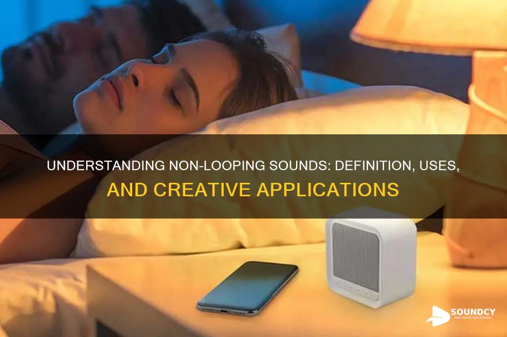 what is non looping sound