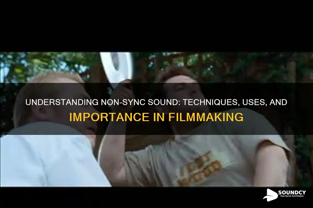 what is non sync sound