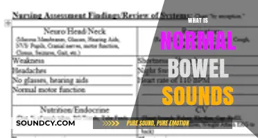 Understanding Normal Bowel Sounds: What’s Healthy and Why It Matters