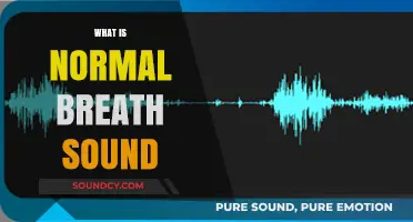 Understanding Normal Breath Sounds: A Comprehensive Guide for Beginners