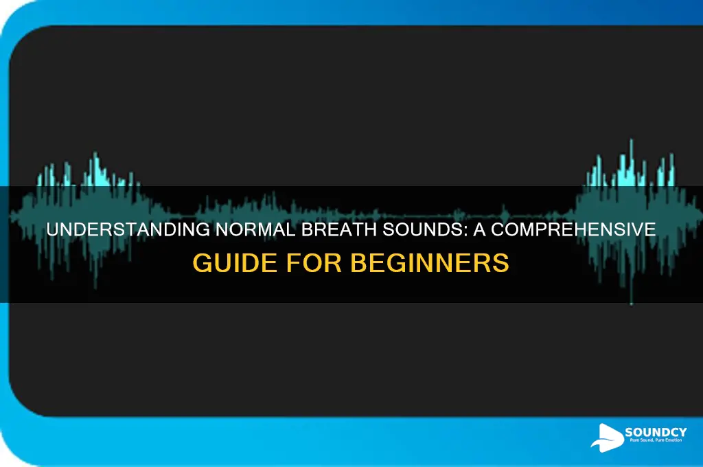 what is normal breath sound