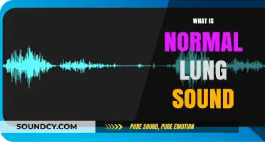 Understanding Normal Lung Sounds: A Comprehensive Guide to Healthy Breathing