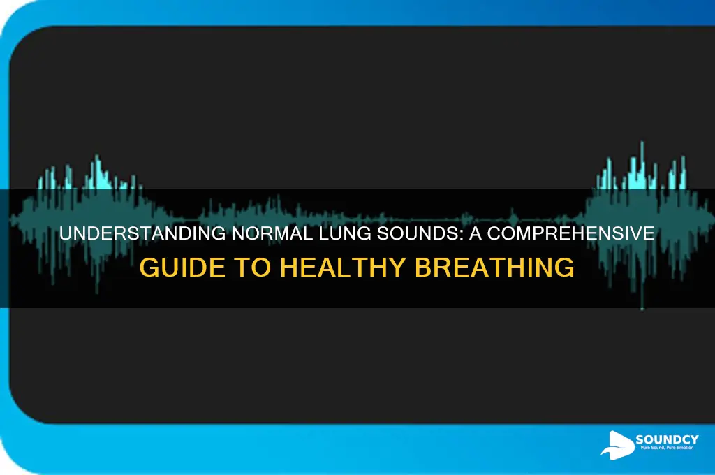 what is normal lung sound