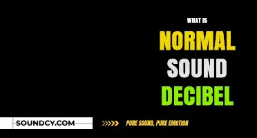 Understanding Normal Sound Decibel Levels for Everyday Environments