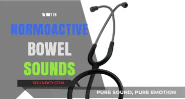 Understanding Normoactive Bowel Sounds: Definition, Significance, and Clinical Insights