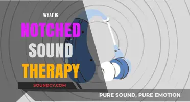 Understanding Notched Sound Therapy: A Revolutionary Tinnitus Treatment Approach