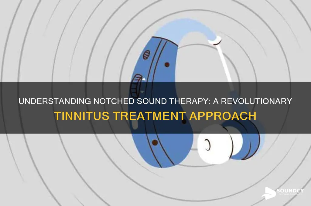 what is notched sound therapy