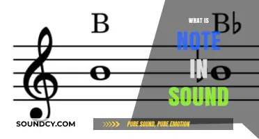Understanding Notes: The Building Blocks of Sound and Music Explained