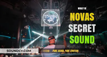 Unveiling Nova's Secret Sound: A Mystery Worth Listening To