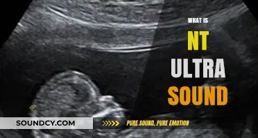 Understanding NT Ultrasound: A Comprehensive Guide to Nuchal Translucency