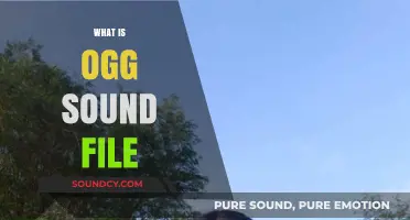 Understanding the Ogg Sound File Format: Uses, Benefits, and How It Works