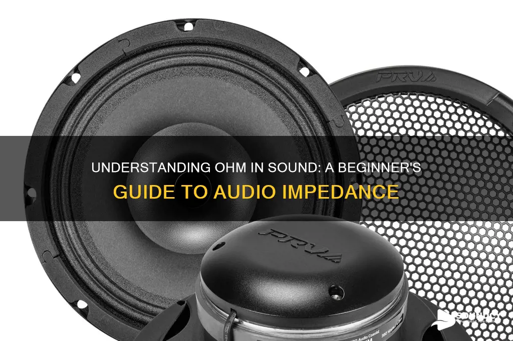 what is ohm in sound
