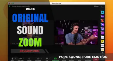 Understanding Original Sound Zoom: Enhancing Audio Clarity in Video Conferencing