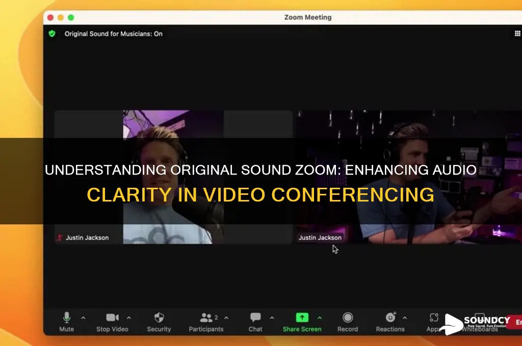 what is original sound zoom