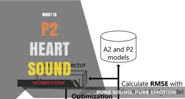 Understanding P2 Heart Sound: Causes, Characteristics, and Clinical Significance