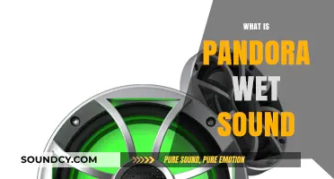 Exploring Pandora Wet Sound: A Unique Audio Experience Explained