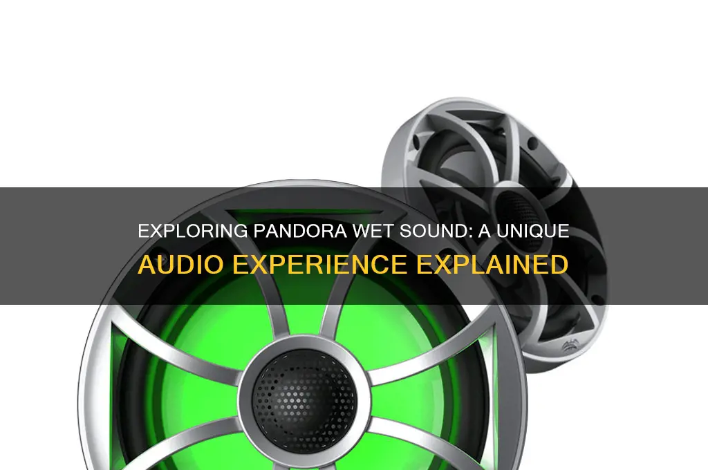 what is pandora wet sound