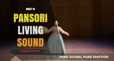 Exploring Pansori: The Living Sound of Korea's Traditional Storytelling Art