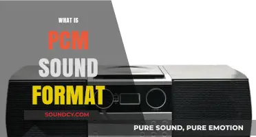 Understanding PCM Sound Format: A Comprehensive Guide to Digital Audio