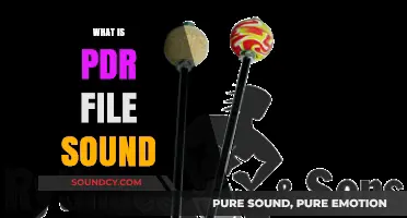 Understanding PDR File Sound: Definition, Uses, and How It Works