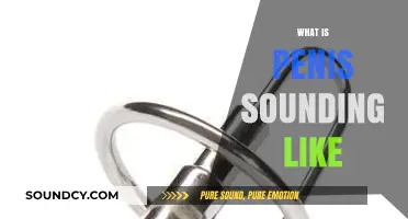 Understanding Penis Sounding: Risks, Procedure, and Safety Concerns Explained