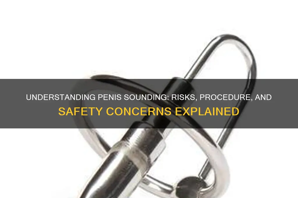 what is penis sounding like