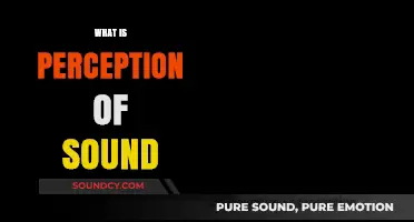 Understanding the Complex Perception of Sound: How We Interpret Auditory Signals