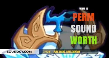 Understanding Perm Sound's Value: A Comprehensive Worth Assessment Guide