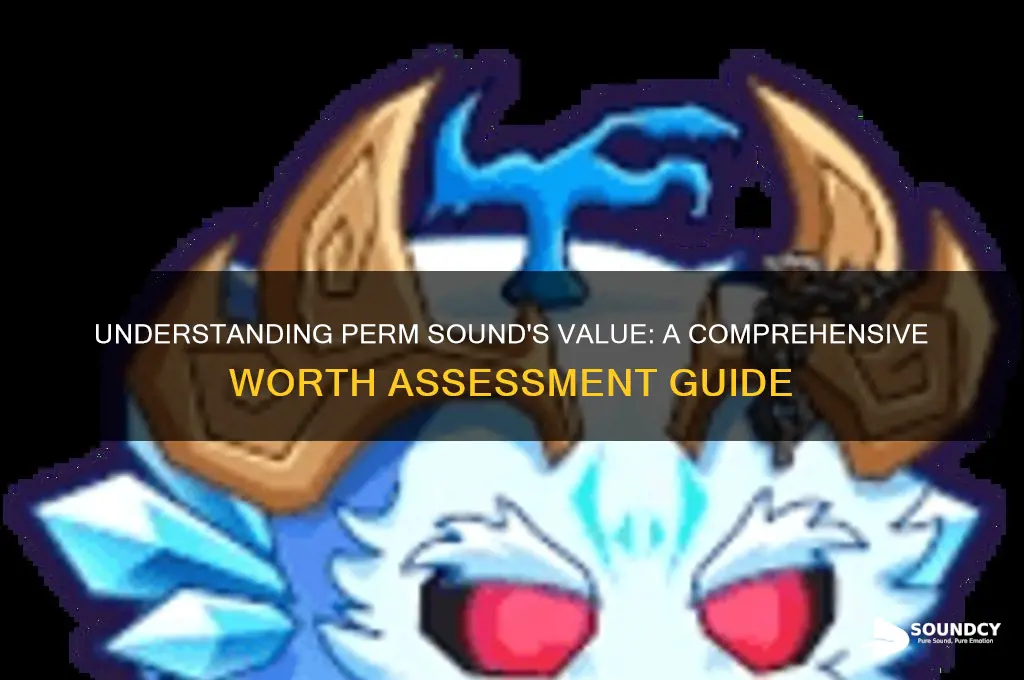 what is perm sound worth
