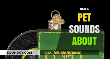Unraveling Pet Sounds: Themes, Inspiration, and Brian Wilson's Vision