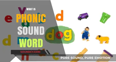Understanding Phonic Sounds: Decoding Words Through Phonics for Early Readers
