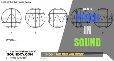 Understanding Pitch: The Science Behind Sound Frequency and Perception