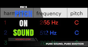 Understanding Pitch: The Science Behind Sound Frequency and Perception
