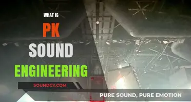 Understanding PK Sound Engineering: Techniques, Applications, and Industry Impact
