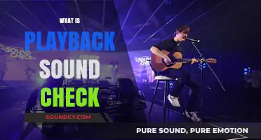 Mastering Playback Sound Check: Essential Tips for Perfect Audio Quality