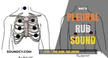 Understanding Pleural Rub Sound: Causes, Symptoms, and Diagnosis Explained