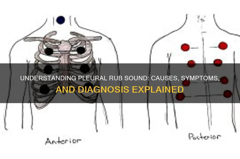 what is pleural rub sound