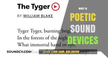 Exploring Poetic Sound Devices: Enhancing Rhythm and Musicality in Poetry