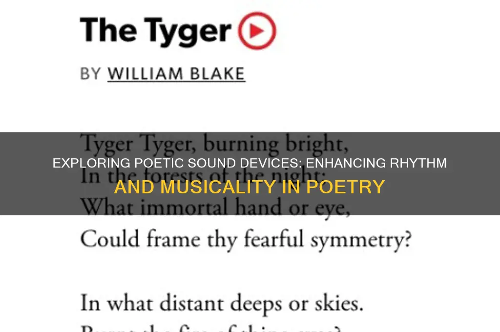 what is poetic sound devices