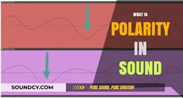 Understanding Polarity in Sound: How Phase Alignment Impacts Audio Quality
