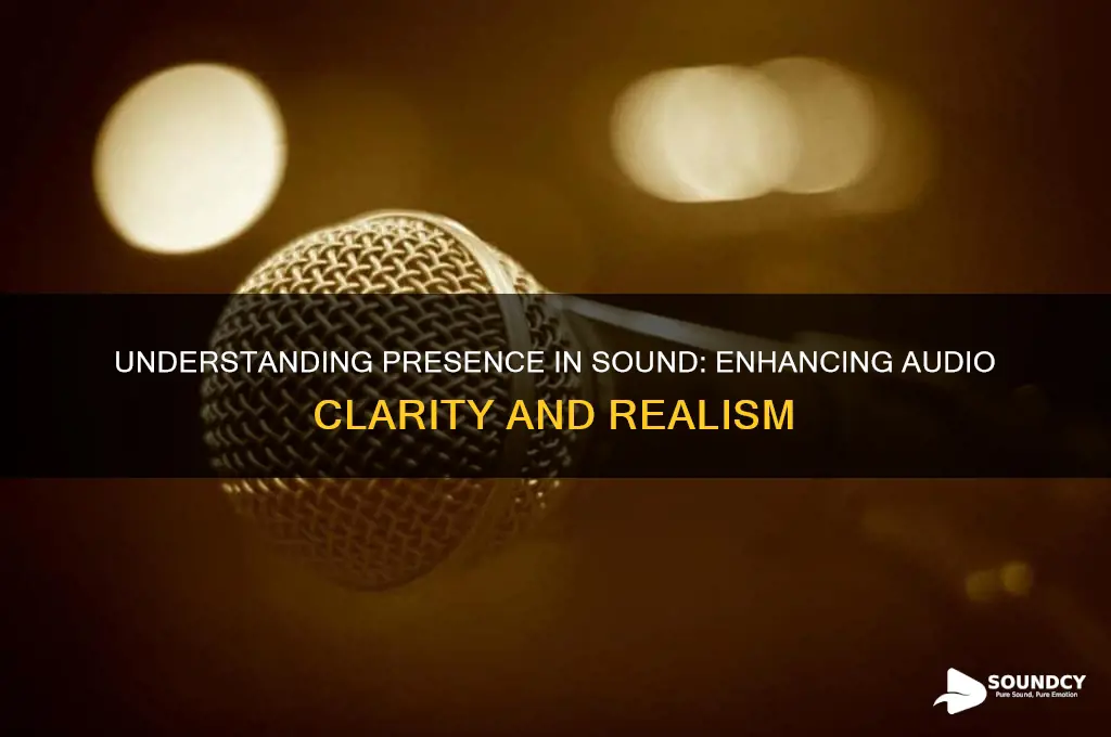 what is presence in sound