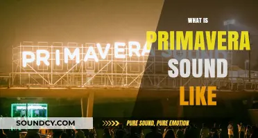 Exploring Primavera Sound: A Sonic Journey Through Diverse Musical Landscapes