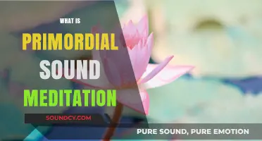 Discover Inner Peace: Understanding Primordial Sound Meditation Techniques