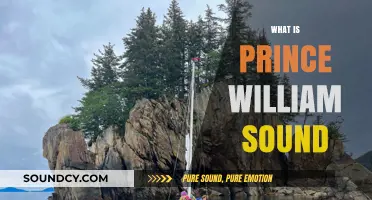 Exploring Prince William Sound: Alaska's Stunning Coastal Paradise
